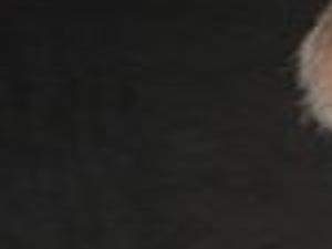 Superfoot Wallace Still Kicking At Age 65 Mma Fighting Qctimes Com