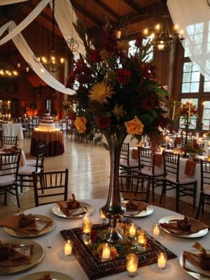 Tamara Wendt Design