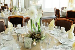 Tamara Wendt Design