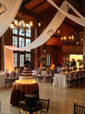 Tamara Wendt Design