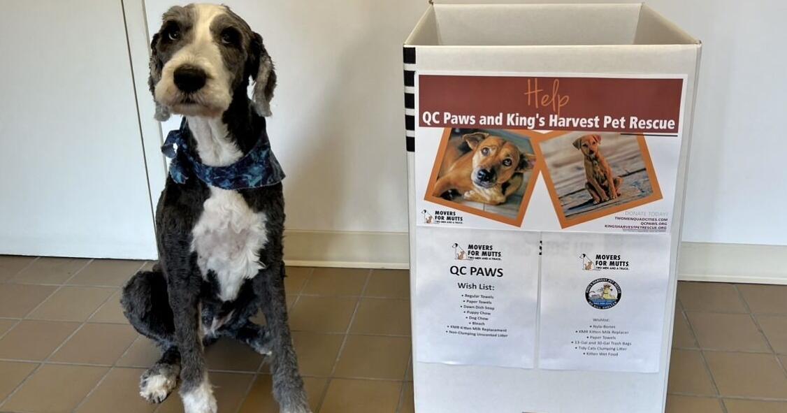 Movers For Mutts collects donations for animals in need in the Quad-Cities - Vimarsana News