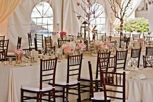 Tamara Wendt Design