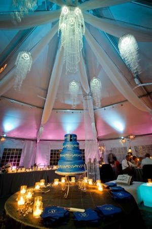 Tamara Wendt Design