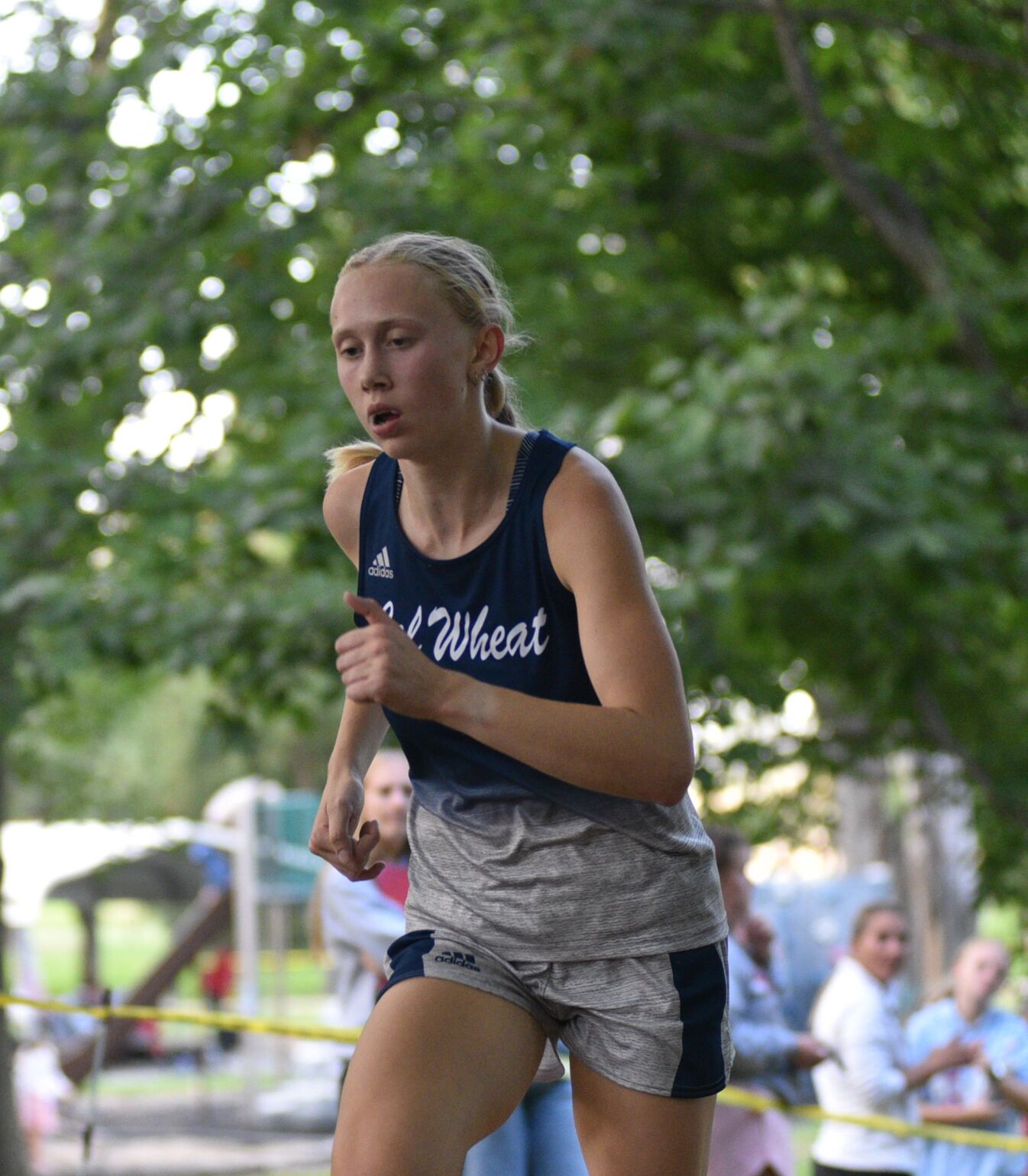 Calamus-Wheatland’s Junior Noelle Steines Wins Class 1A Cross Country State Championship