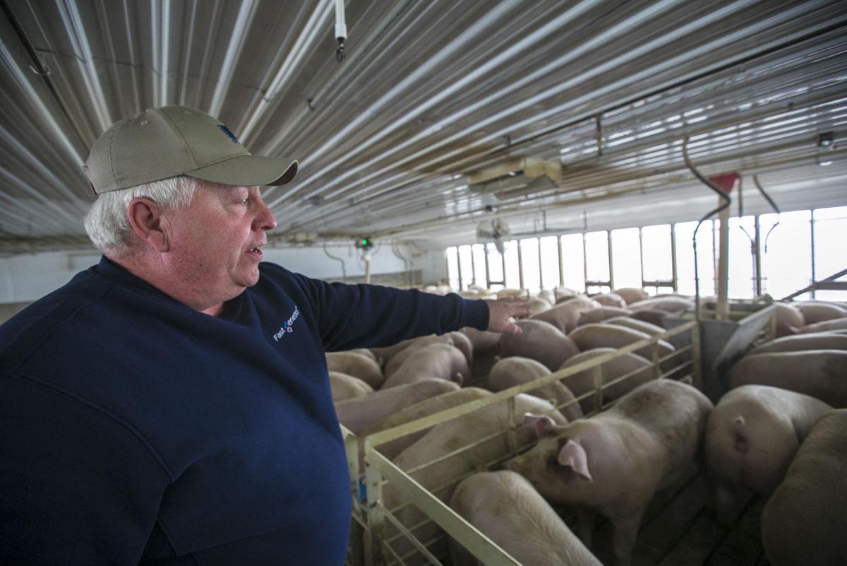 Animal feeding operation approval system needs update, county officials say | Iowa News ...