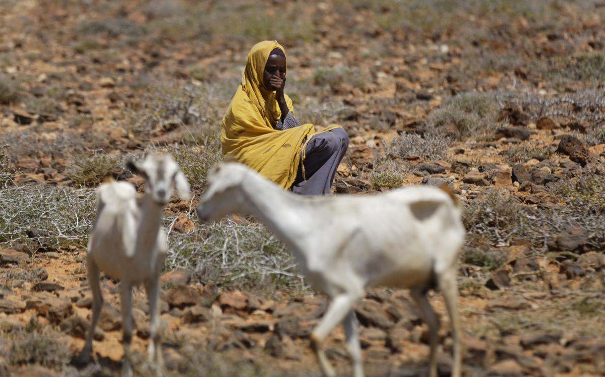 Somalia Droughts Toll