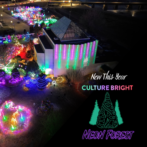 W7-Sun Neon Forest