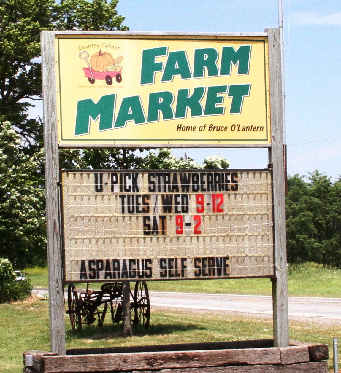 'Small window' for strawberry picking opens at Country Corner in Alpha