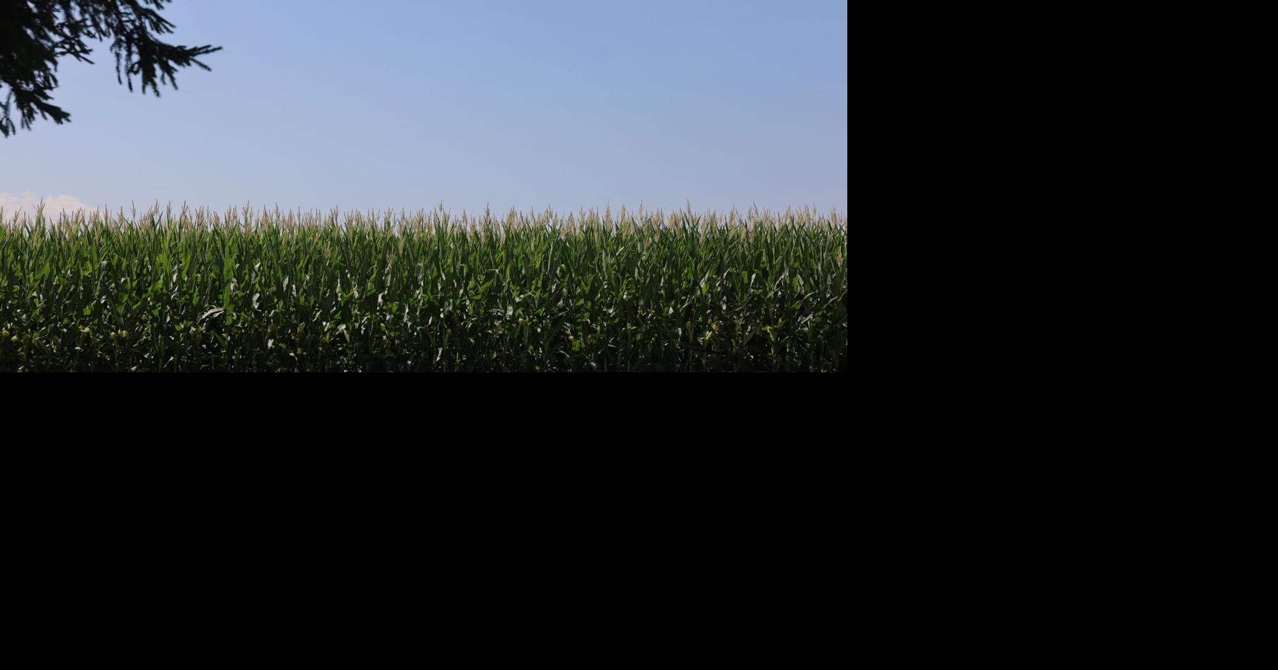 'No more family Christmases': How I reported on farm succession planning