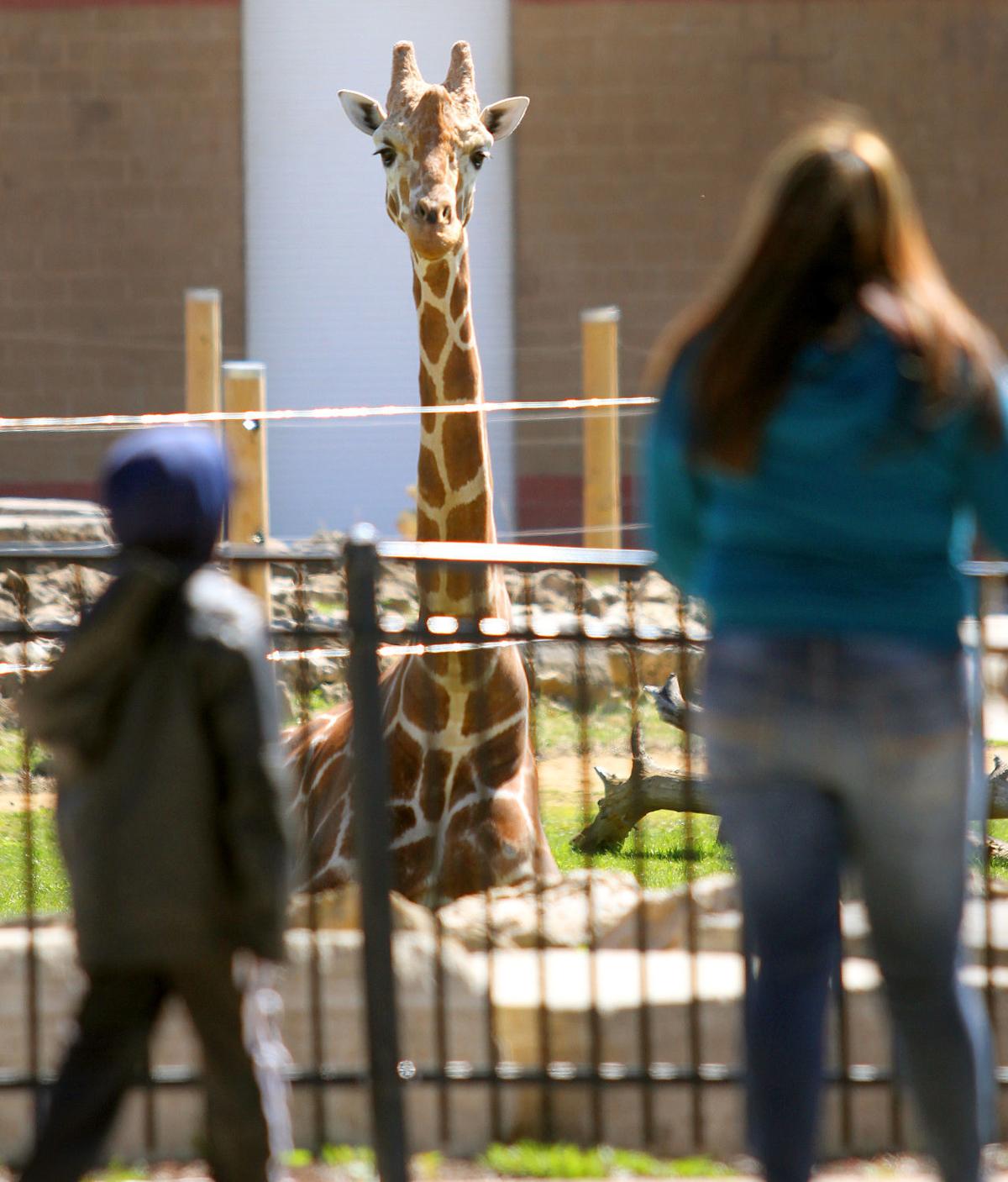 Photos Niabi Zoo Opens Fun and Entertainment
