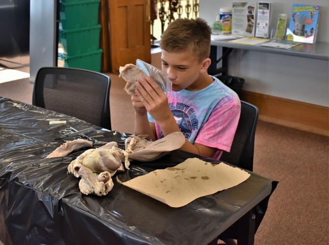 See area teens poke and prod at free dissection science workshop