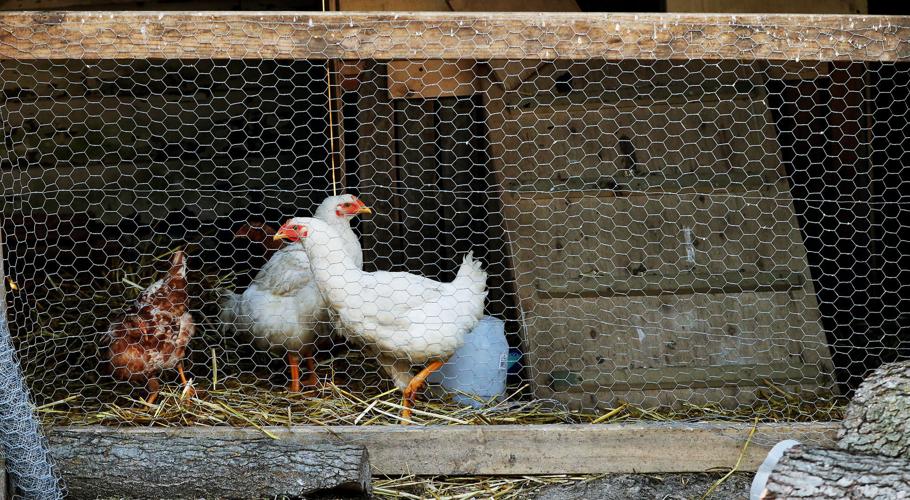 Notes Noon Family looks to rebuild after fire destroys Donahue home