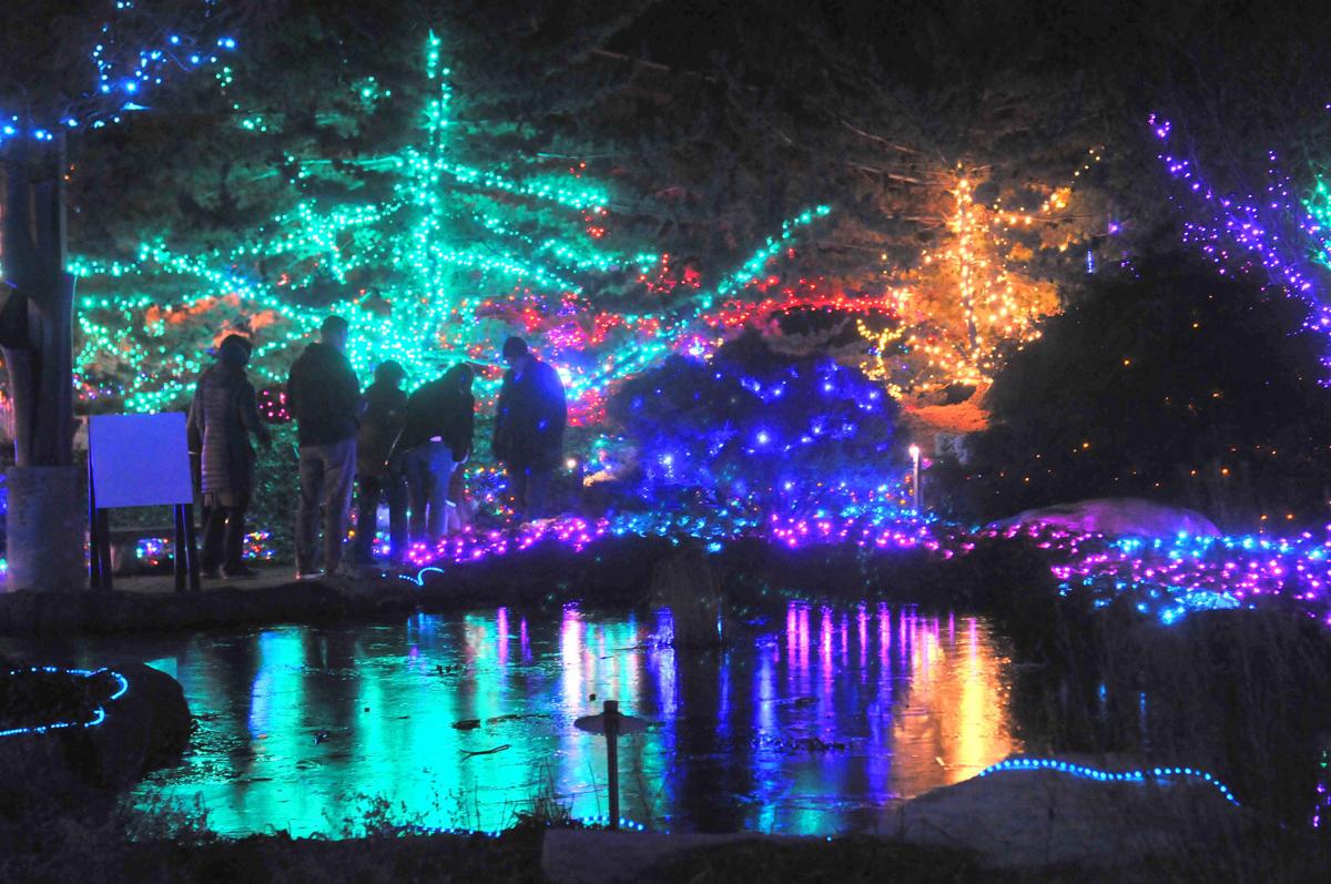 Quad City Botanical Center "Winter Nights, Winter Lights