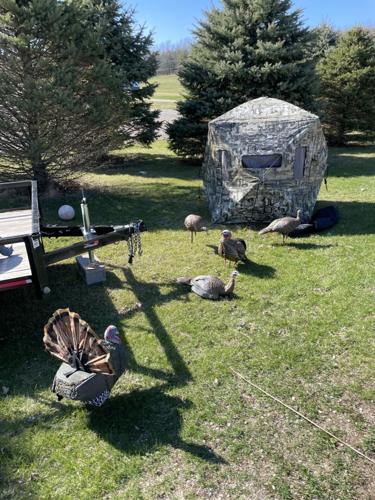 Upcoming youth turkey hunting opportunities for each state Upcoming youth turkey hunting opportunities for each state