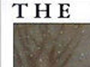 10 Top Christmas Stories Home Garden Qctimes Com