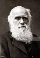 WUNDRAM: Darwin Awards honor dumbness
