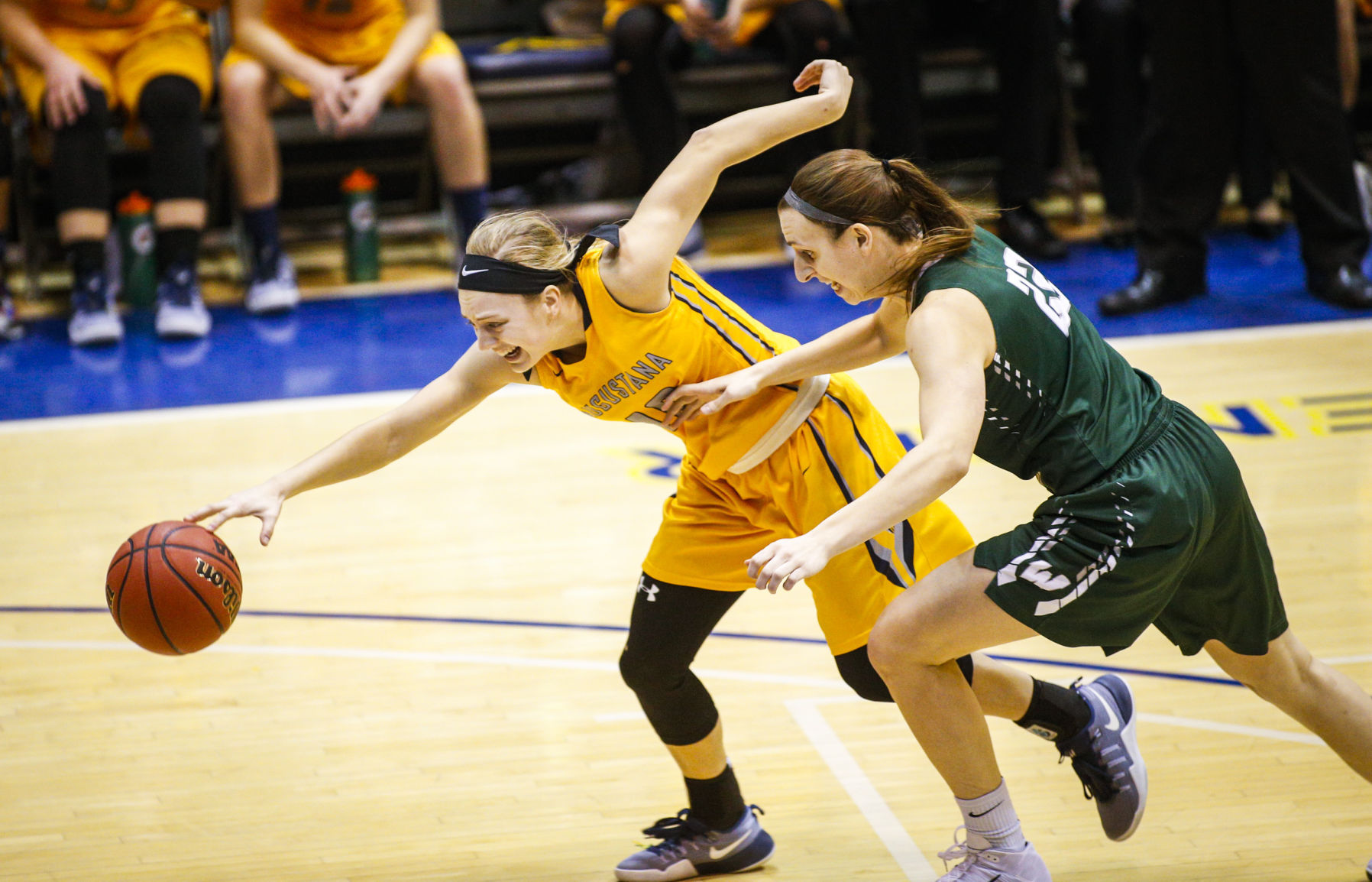 Photos: Illinois Wesleyan Women's Basketball At Augustana | Sports ...