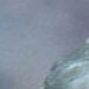 49+ Shanna Reis Pictures