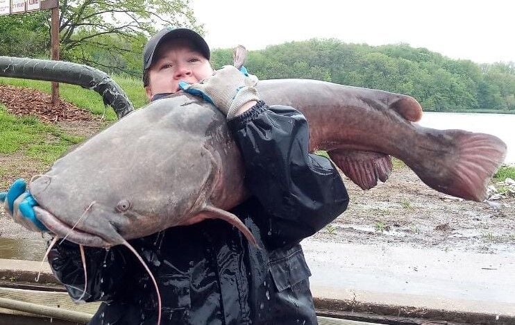 Blue catfish usually stay south of Q-C area
