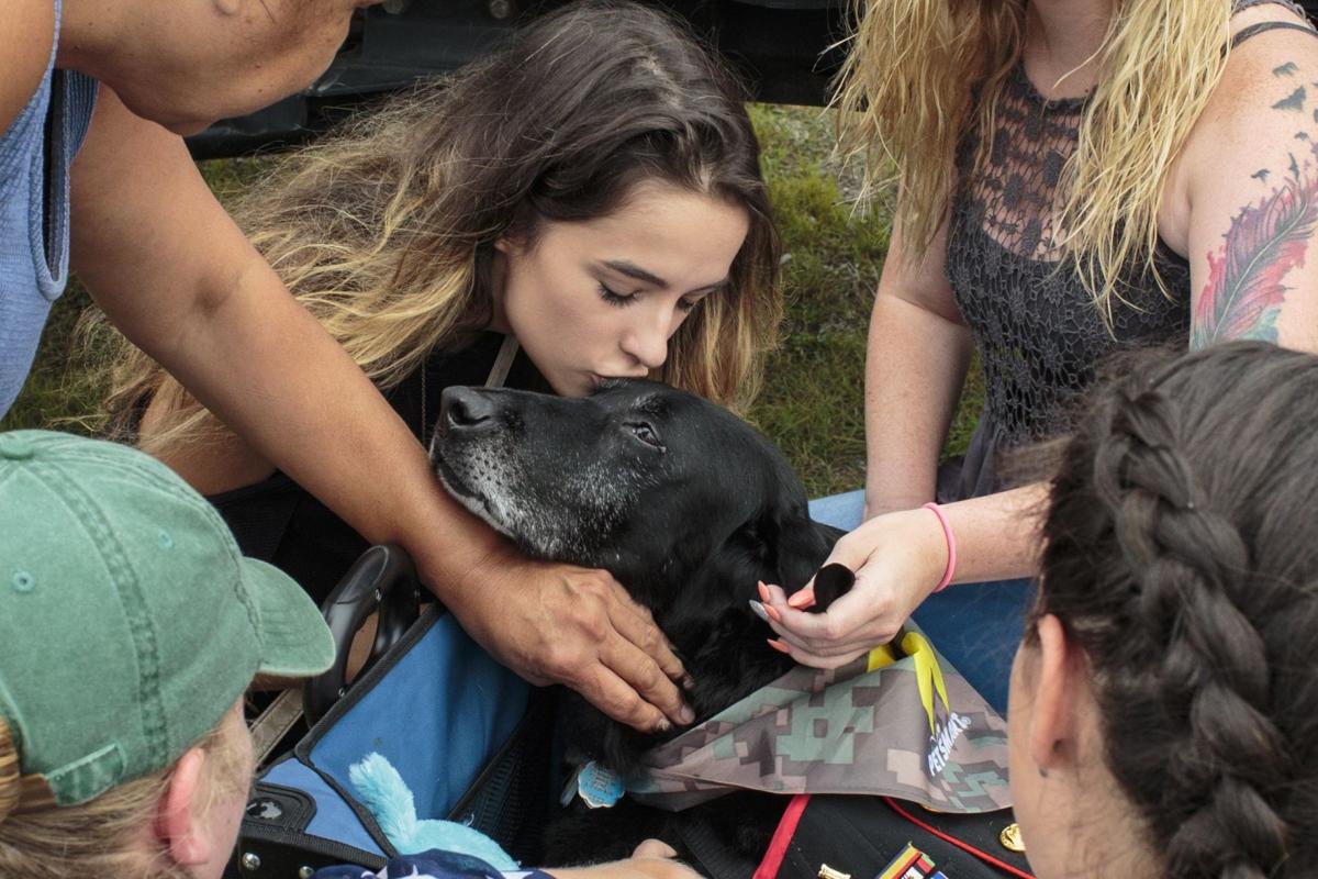 Military Dog Farewell