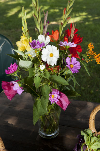 081814-frye-farm-28