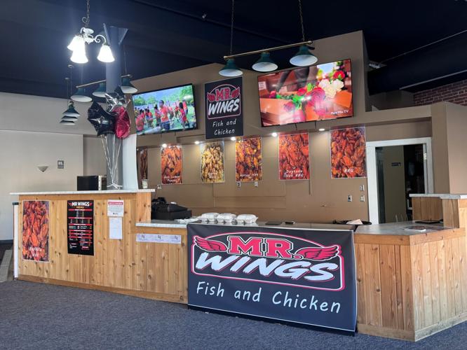 Mr. Wings 1.jpg
