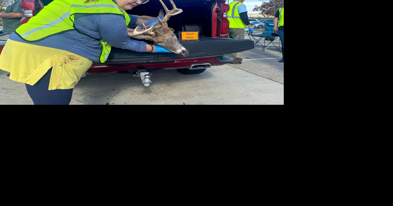 Chronic wasting disease threatens US deer. But when one state took strong measures, the pushback was fierce