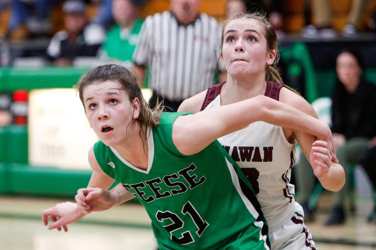 quad-cities-all-western-illinois-girls-basketball-team