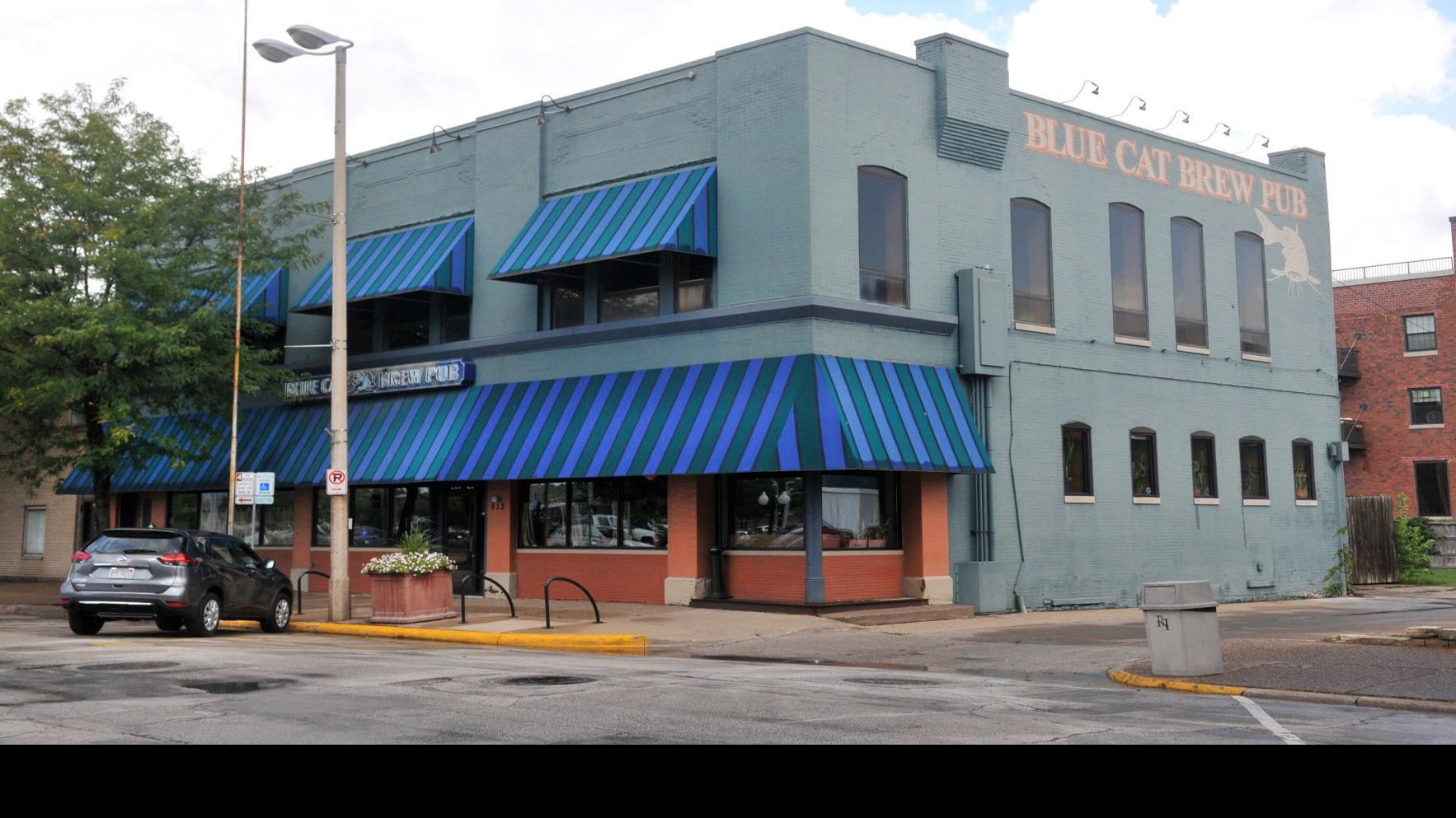 Ri S Blue Cat Gets New Owners Local News Qctimes Com