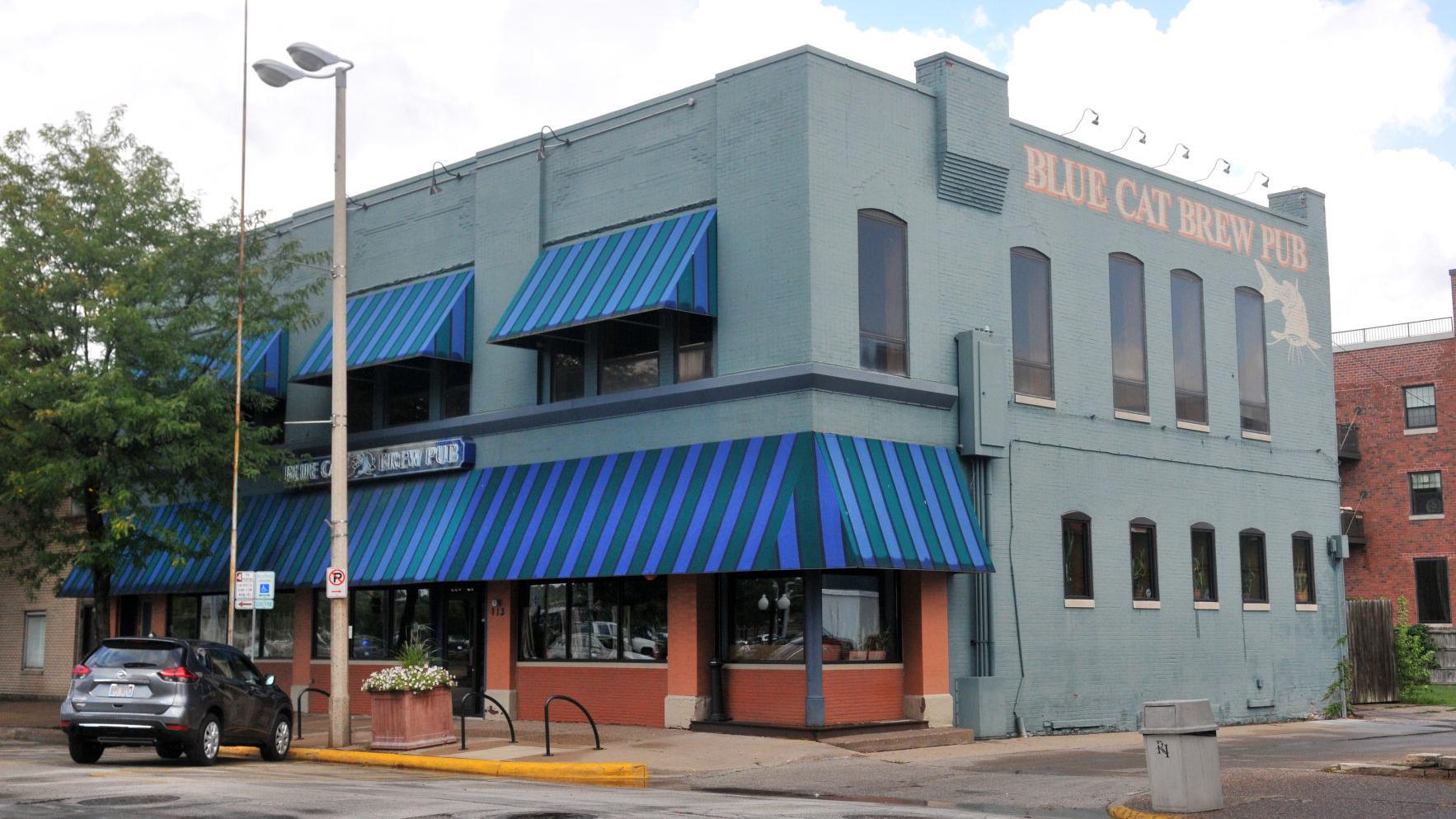 Ri S Blue Cat Gets New Owners Local News Qctimes Com