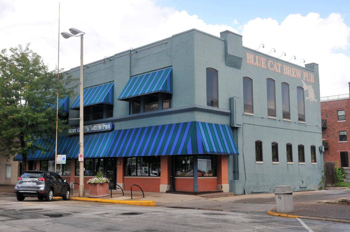 Ri S Blue Cat Gets New Owners Local News Qctimes Com