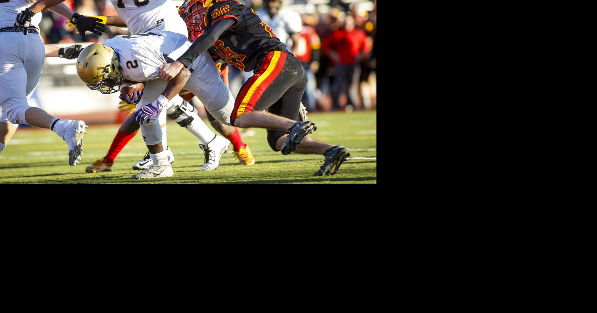 AP Illinois high school football preseason poll