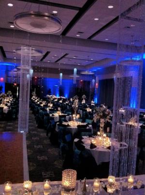Tamara Wendt Design