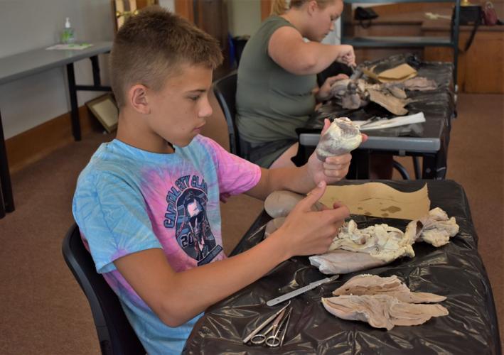 See area teens poke and prod at free dissection science workshop