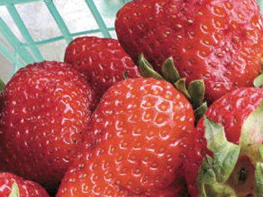 Map Of Strawberry Festival Grounds In Long Grove, Il 2022