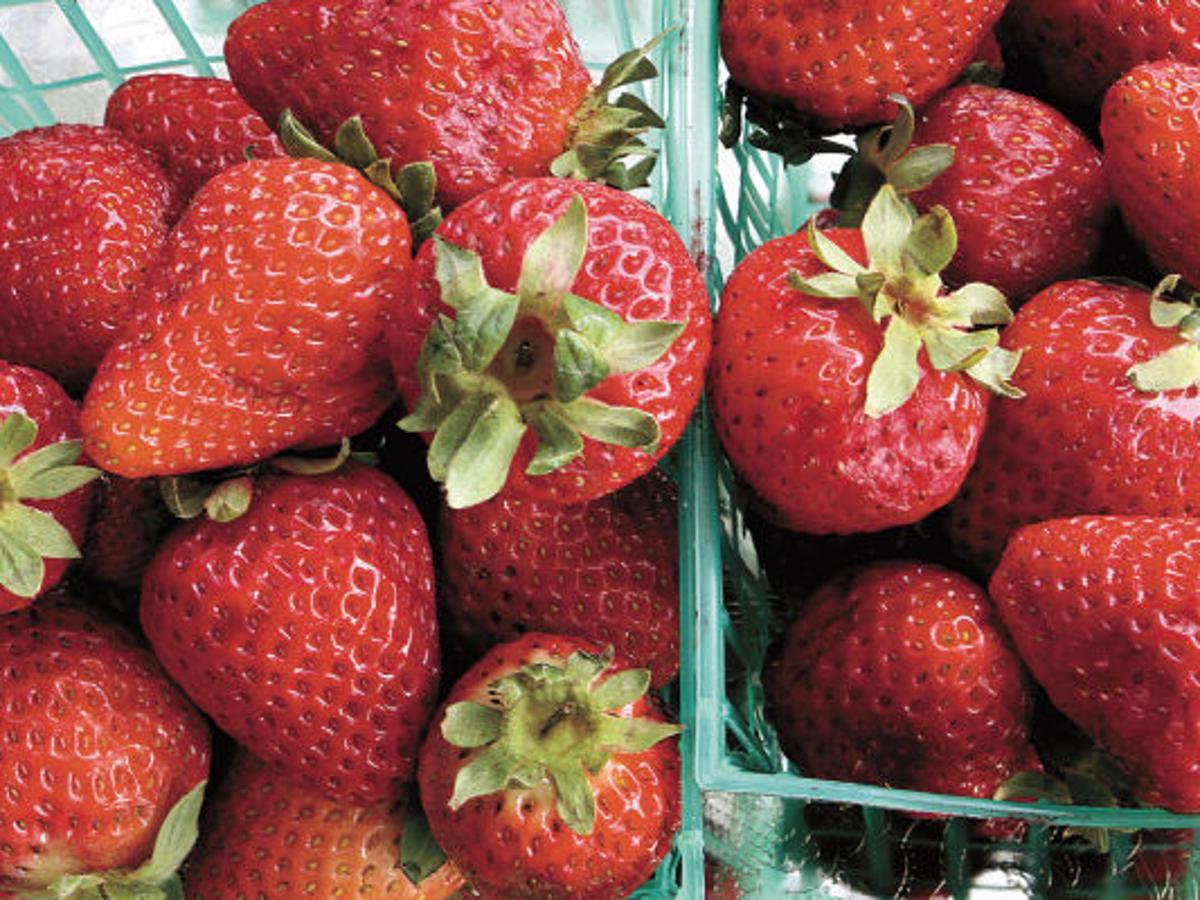 Long Grove Strawberry Festival Is Sunday Food And Cooking Qctimes Com Map Of Strawberry Festival Grounds In Long Grove, Il 2022