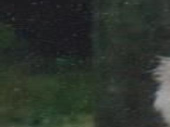 Everett H Kruckenberg Obituaries Qctimes Com