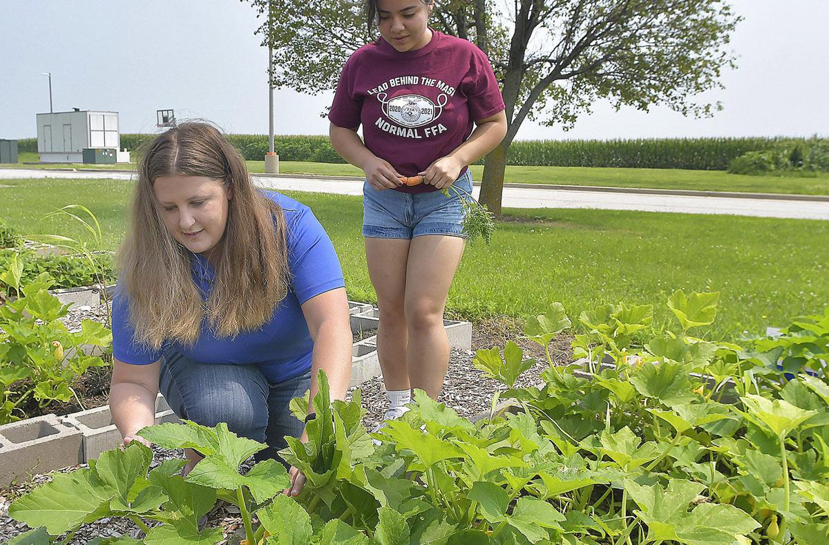 FFA program blooming at NCHS