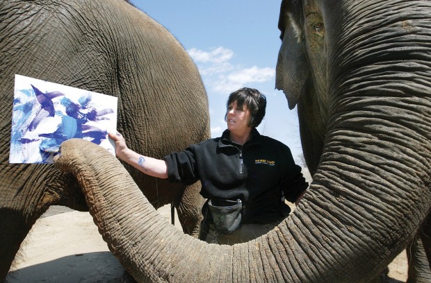 Niabi Zoo: Animals need to have fun, too | Local News | qctimes.com