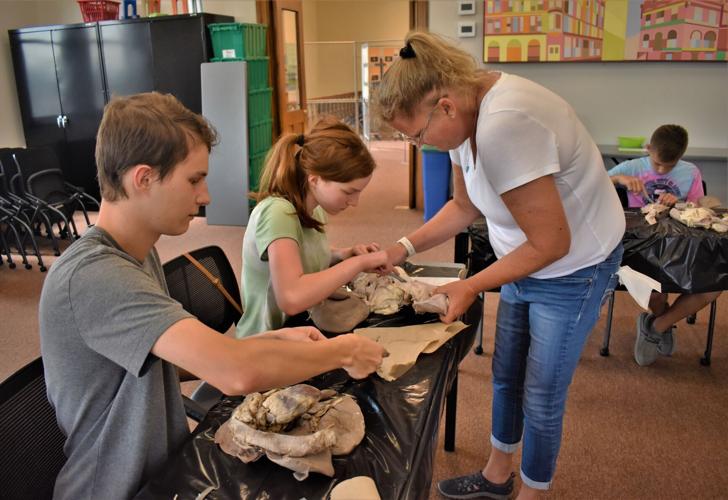 See area teens poke and prod at free dissection science workshop