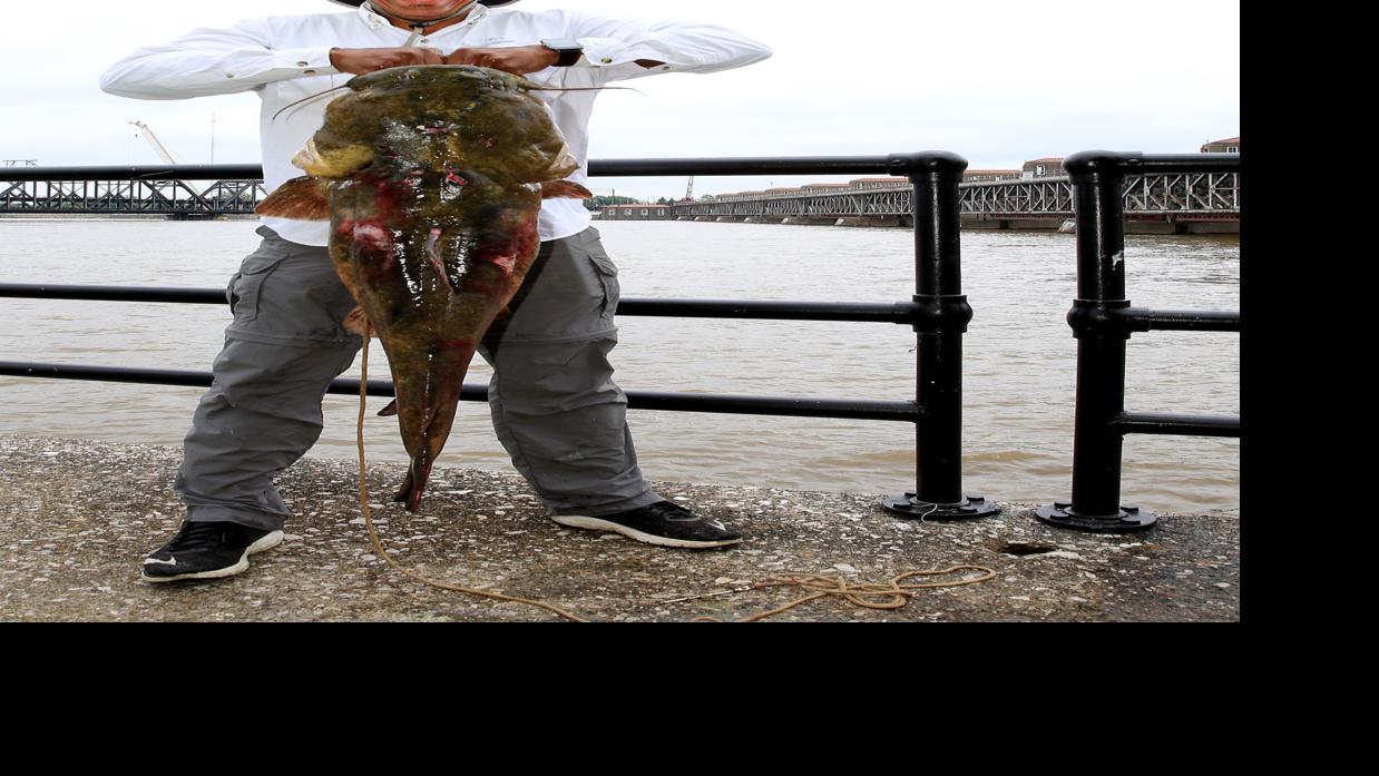 Davenport man reels in 60pound catfish Local News