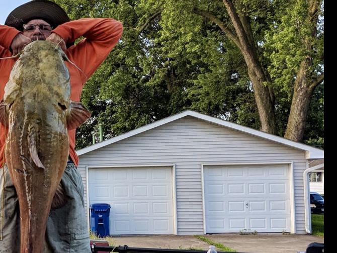 Davenport Angler Lands 55 Pound Catfish Near Credit Island Local News Qctimes Com