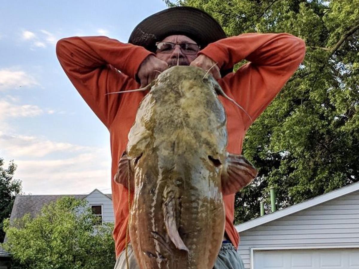 Davenport Angler Lands 55 Pound Catfish Near Credit Island Local News Qctimes Com