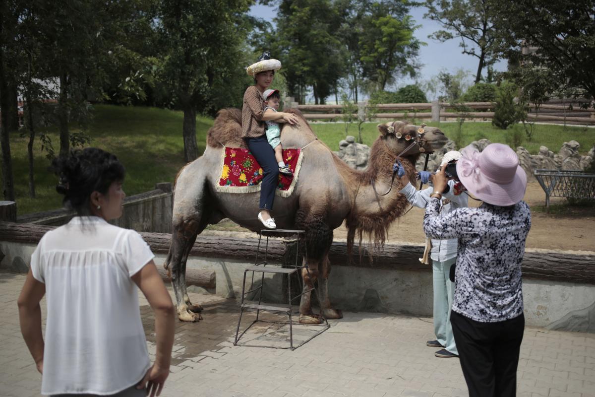 North Korea A Day At The Zoo