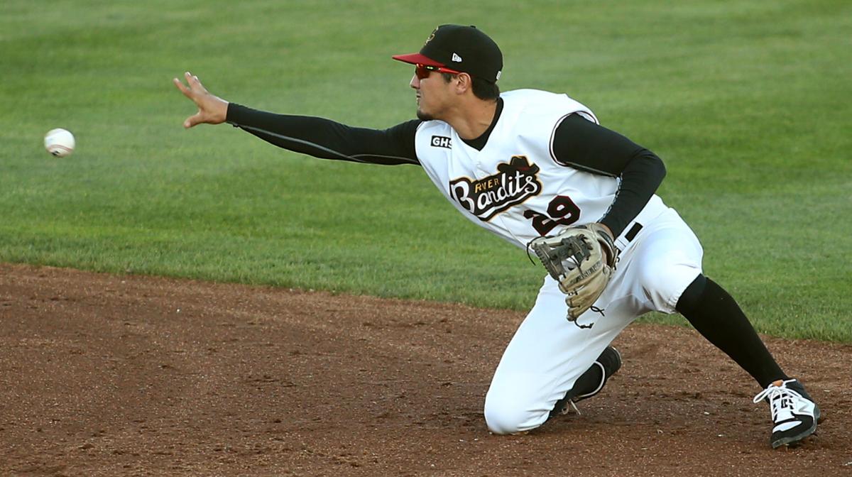 080417-bandits-bees-005