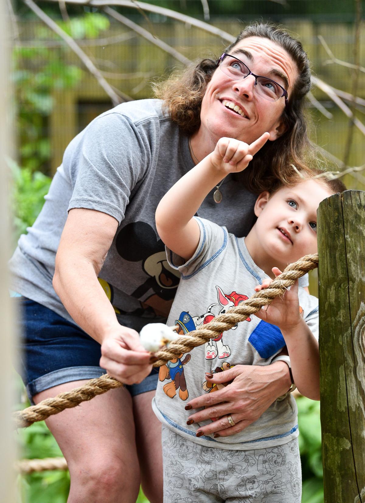 Niabi Zoo Fails To Gain Accreditation Back But We Do Not Look At This As A Failure Director Says Local News Qctimes Com