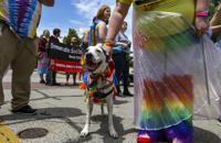 061018-qct-qca-pride-040