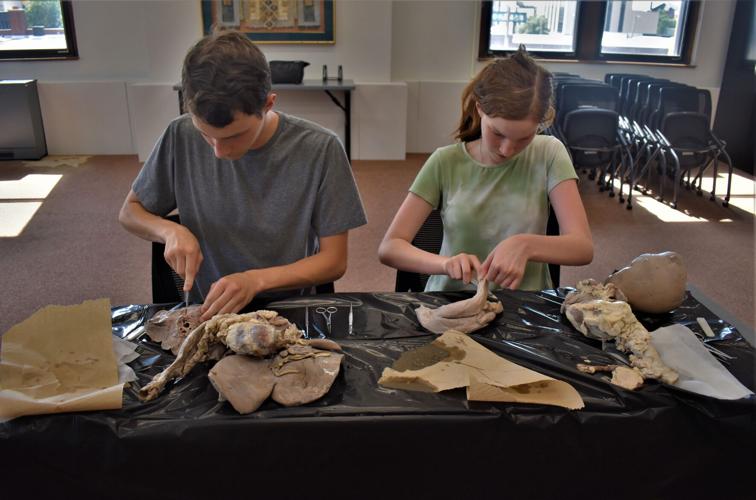 See area teens poke and prod at free dissection science workshop