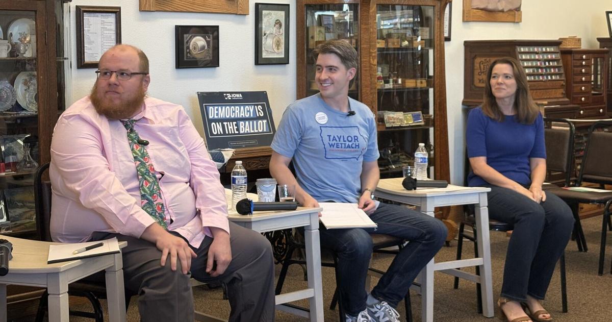 Democrats vying to unseat Miller-Meeks pitch health care fixes, tougher water rules