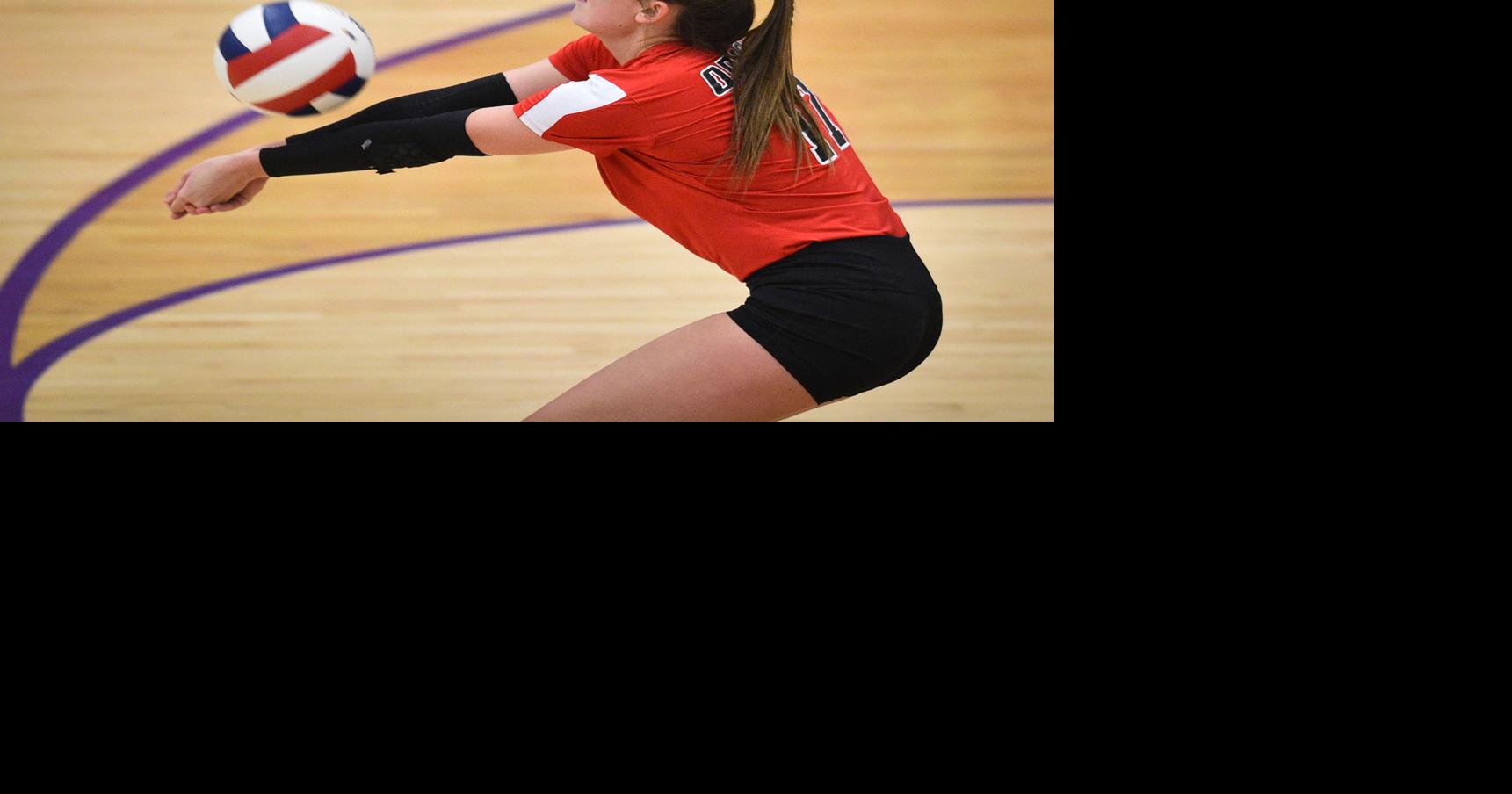 QuadCity Times AllWestern Illinois volleyball team